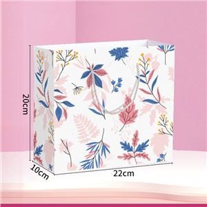 مخصوص مطبوعہ کاغذ تحفہ بیگ