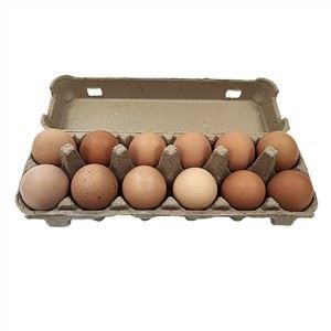 انڈے کارٹن سانچا ہوا گودا