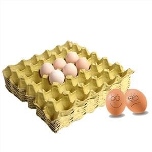 کاغذ گودا انڈے ٹرے مینوفیکچررز