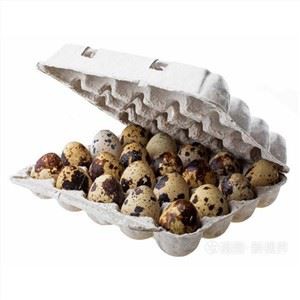 گودا بٹیر انڈا کارٹن