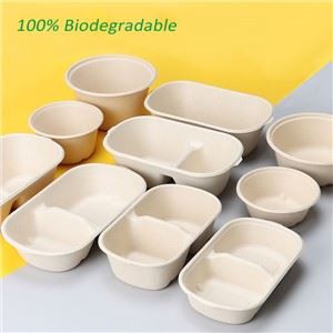 بایوڈیگریڈیبل ڈسپوزایبل لنچ باکس